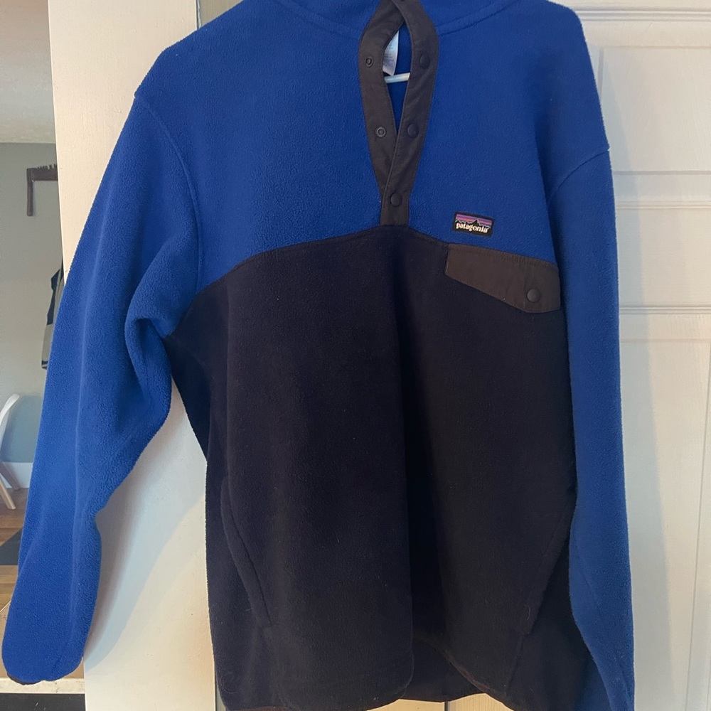 Rare Patagonia synchilla hoody